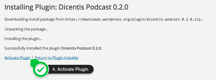 The last step is activating the plugin.